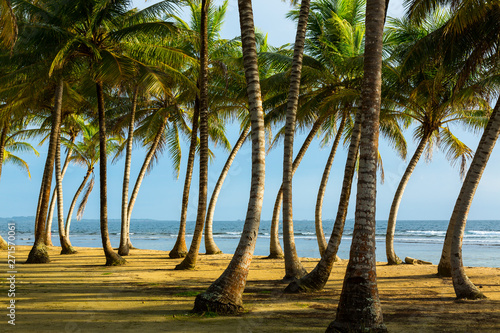 Aguja Island, San Blas archipelago, Kuna Yala Region, Panama, Central America, America photo