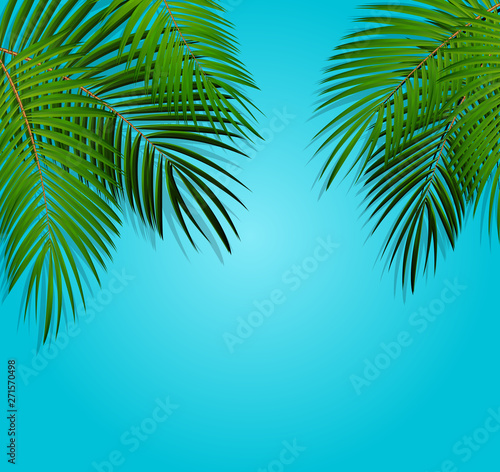 Palm Leaf Vector Background Illustration