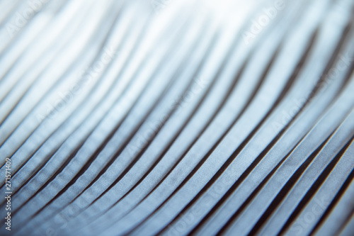 natural texture of pleated fabric