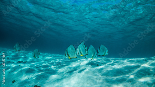 Maldive sott'acqua
