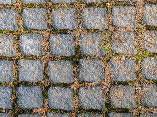 Paving with grass texture in spring.
