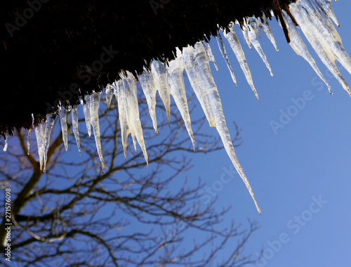 Icicle winter