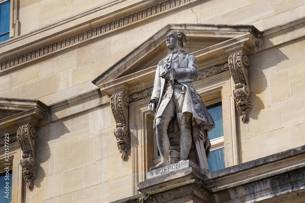 Georges-Louis Leclerc, Comte de Buffon (1707-1788) statue on the facade of the Louvre Palace, Paris, France. He was a French naturalist, mathematician, cosmologist, and encyclopediste.