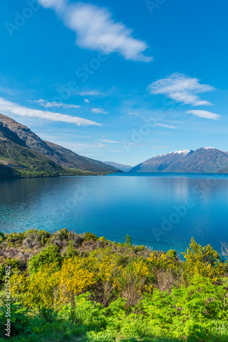 View of the landscape of the lake Wakatipu, Queenstown, New Zealand. Copy space for text. Vertical.