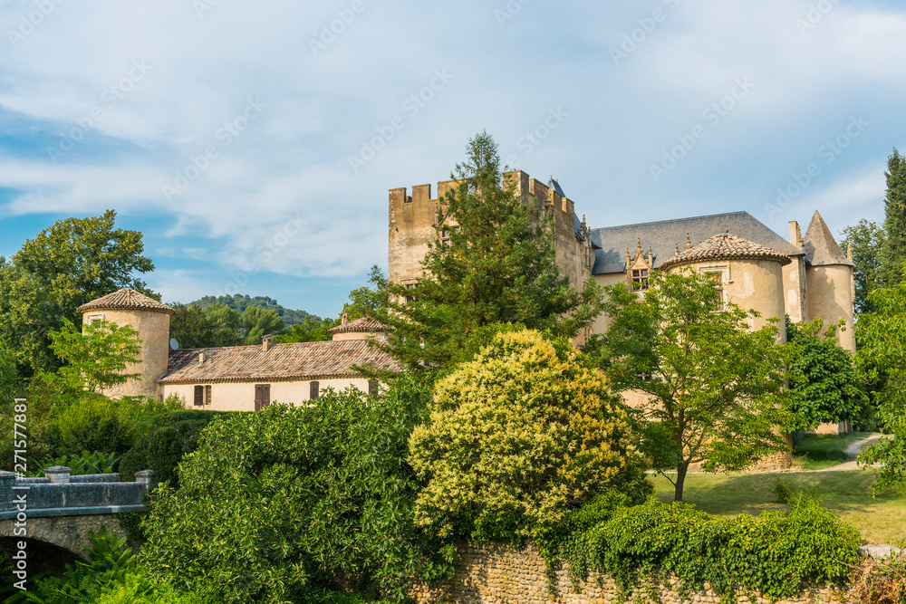 Castle in Allemagne en Provence