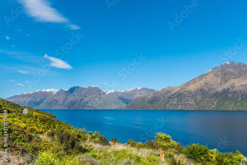 Fototapeta Naklejka Na Ścianę i Meble -  View of the landscape of the lake Wakatipu, Queenstown, New Zealand. Copy space for text.