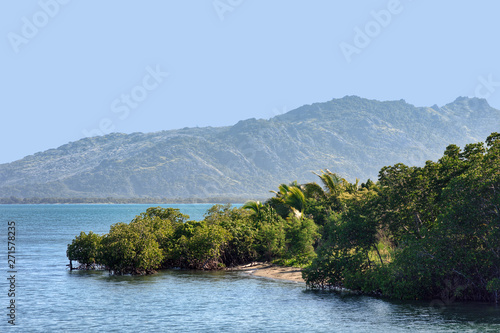 Mangroves at Port Denarau, Nadi, Fiji Island, South Pacific photo