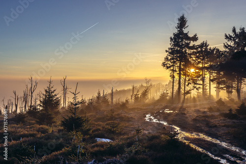Evening on the Great Owl mountain in Owl Mountains Landscape Park, protected area in Lower Silesia Province of Poland