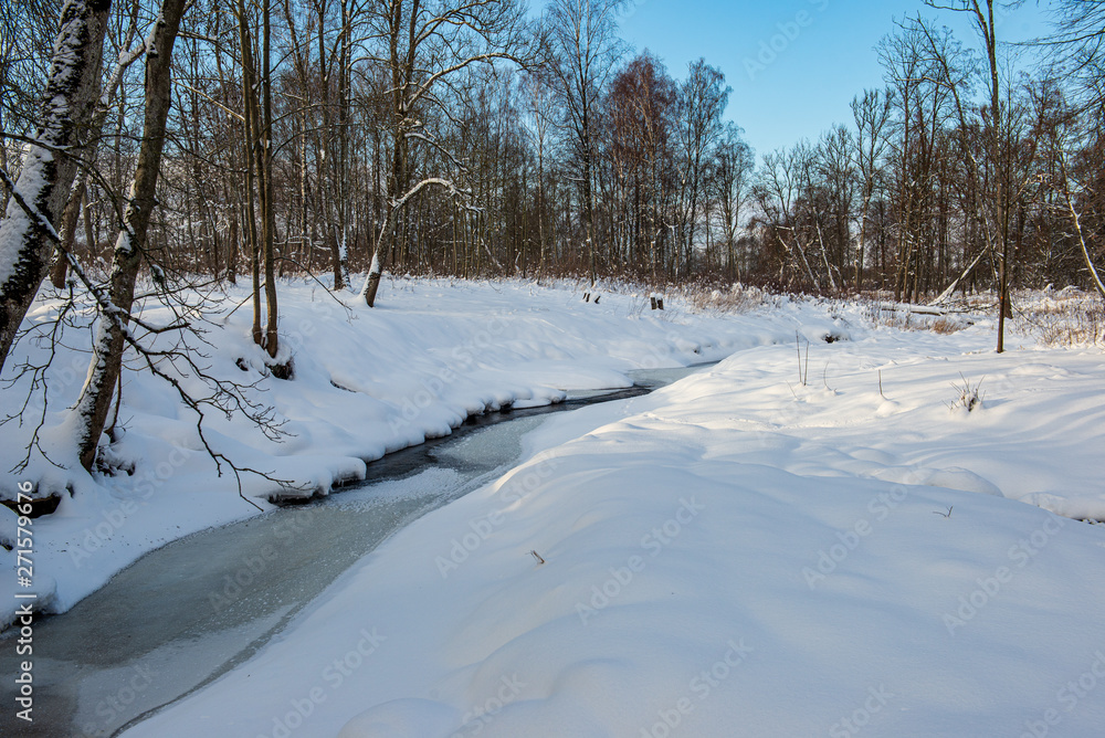 frost snowy forest trees in sunny day in winter frost snowy forest trees in sunny day in winter