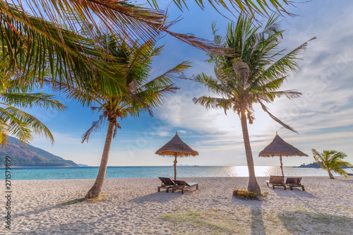 Beach chairs  umbrella and palms on the beautiful beach for holidays and relaxation at Koh Lipe island  Thailand