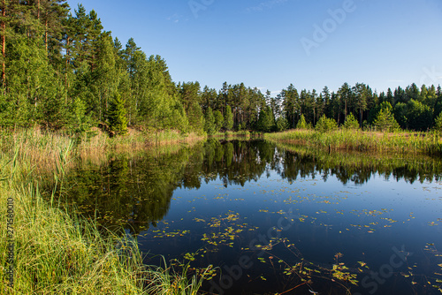Fototapeta Naklejka Na Ścianę i Meble -  beautiful evening by the lake with sun in the trees