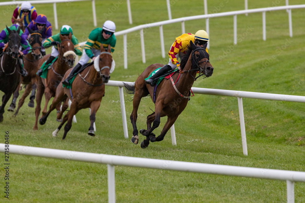 Race horse and jockey taking the lead on the final furlongs of the race Race horse and jockey taking the lead on the final furlongs of the race