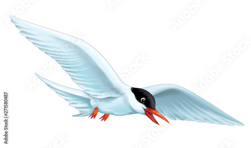 Bilde på lerret cartoon scene with flying bird tern isolated on white background illustration fo