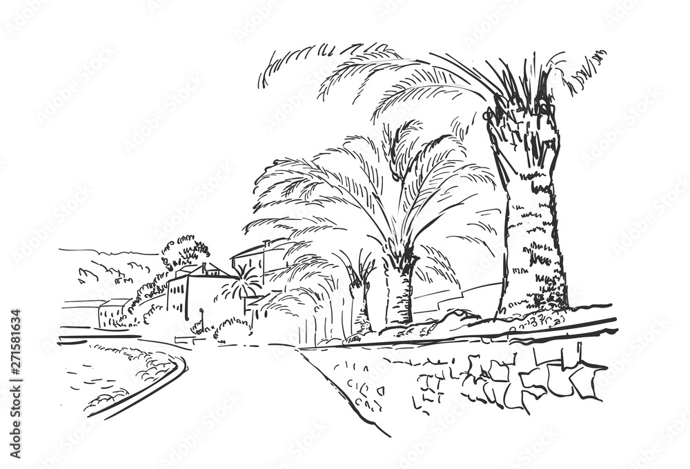 Obraz premium vector sketch illustration European city embankment Croatia palm