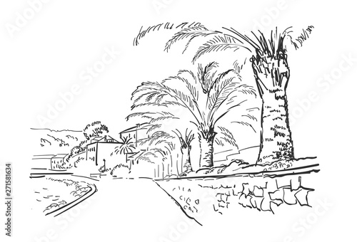vector sketch illustration European city embankment Croatia palm