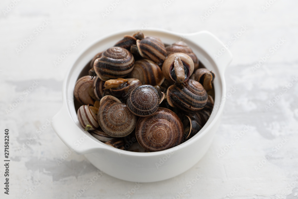 boiled snails with herbs in white dish on ceramic background boiled snails with herbs in white dish on ceramic background