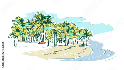 palm beach vector sketch landscape line illustration skyline