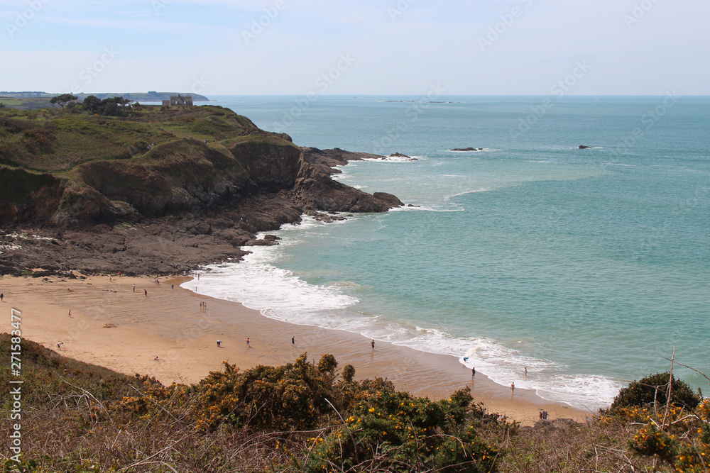 atlantic littoral in brittany (france)