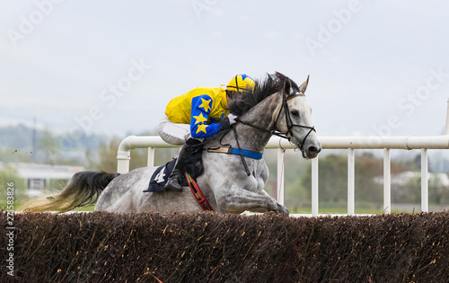 Race horse and jockey jumping a hurdle on the race track photo