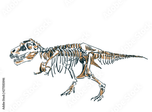 dinosaur skeleton vector sketch isolated clip art © CharlieNati