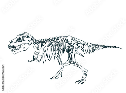 dinosaur skeleton vector sketch isolated clip art