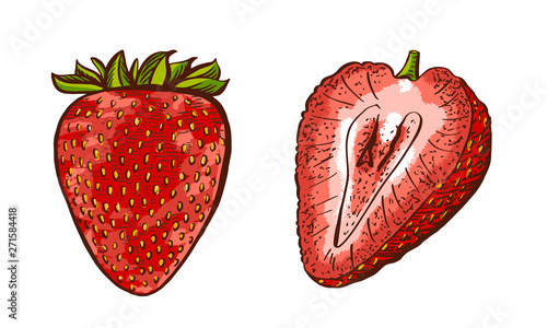 Whole and half of strawberry. Hand drawn strawberries. Vintage engraving illustration for logotype, poster, web.