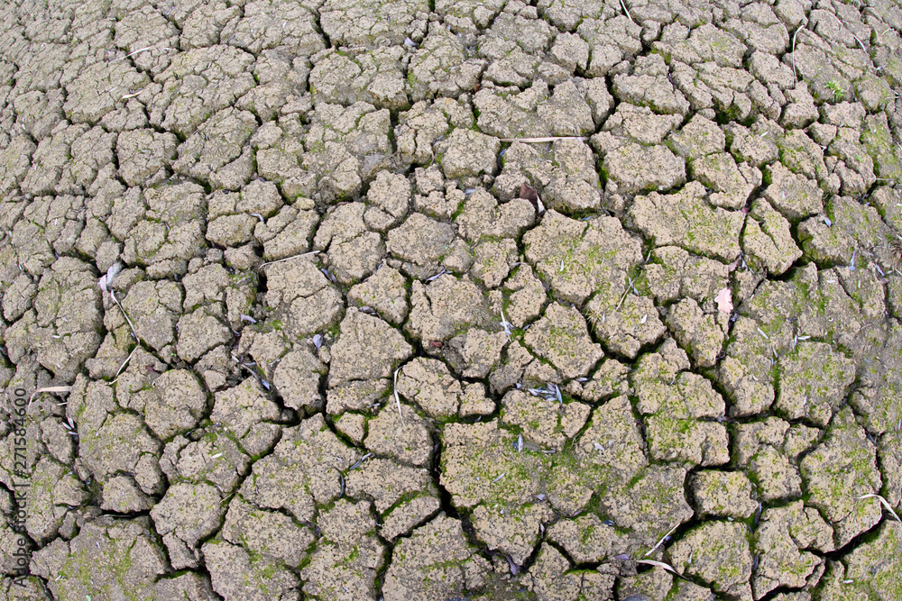 dry lake in a hot summer dry lake in a hot summer