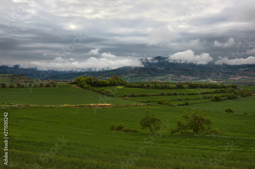 Green field with mountains and clouds