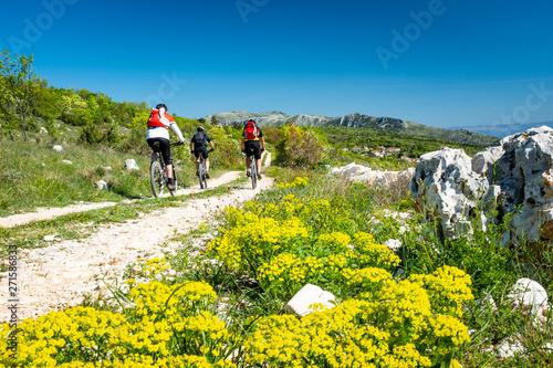 Mountain biker driving in Istria to mountain Sisol, Ucka Park