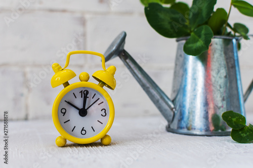 watering can, clover and yellow alarm clock on light background