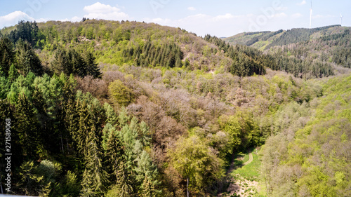 Pont suspendu Geierlay