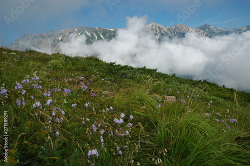 Obraz na płótnie 唐松岳登山 w salonie