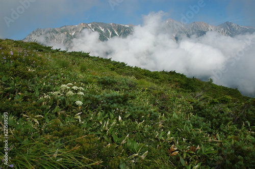 Obraz na płótnie 唐松岳登山 w salonie
