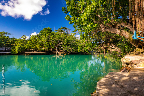 The Blue Lagoon  Port Vila  Efate  Vanuatu