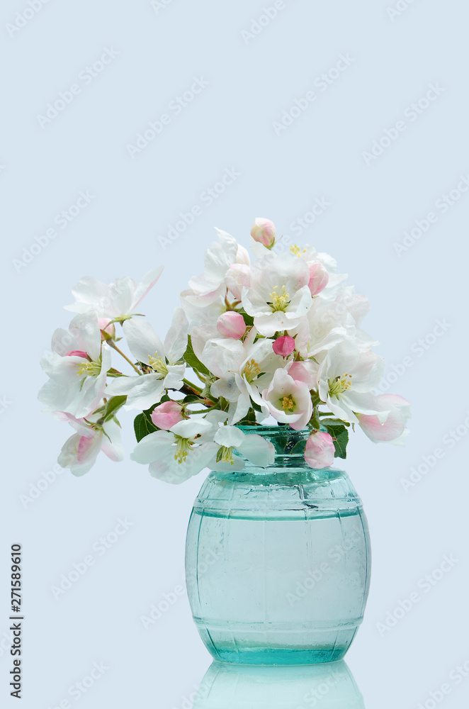 Spring flowers in a glass vase in white isolate Spring flowers in a glass vase in white isolate