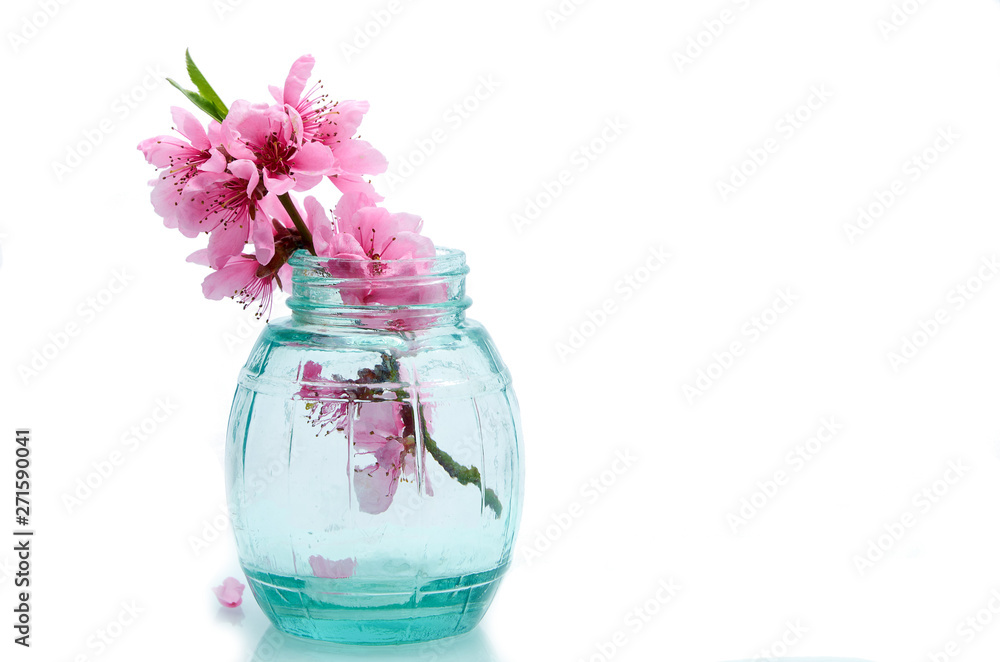 Spring flowers in a glass vase in white isolate Spring flowers in a glass vase in white isolate