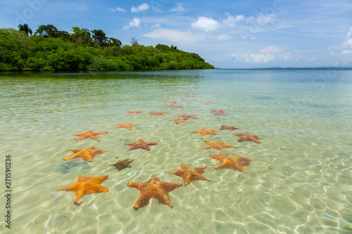 Starfish Beach, Colon Island, Bocas del Toro Archipelago, Bocas del Toro Province, Panama, Central America, America photo