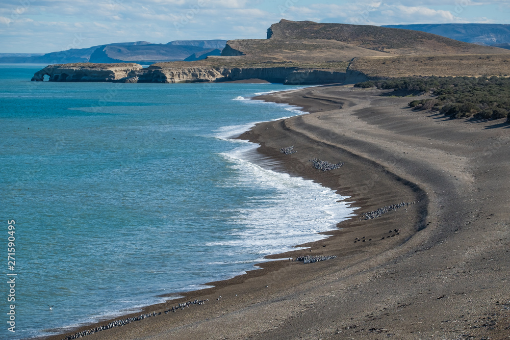 Coast of the Atlantic ocean with groups of penguins on it. Park Monte Leon, Argentina Coast of the Atlantic ocean with groups of penguins on it. Park Monte Leon, Argentina