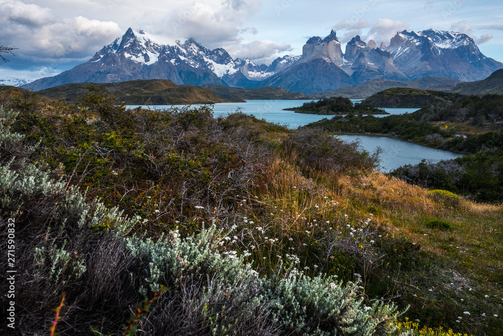 Torres del Paine National Park. Calm lake of Pehoe and snow capped mountains of Cordillera Paine during the morning. Chile
