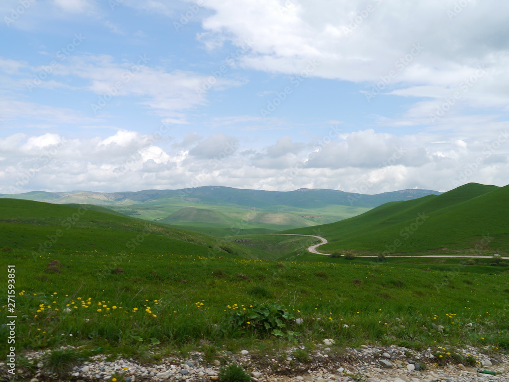 Naklejka premium Предгорья кавказских гор дорога к Эльбрусу альпийский луг