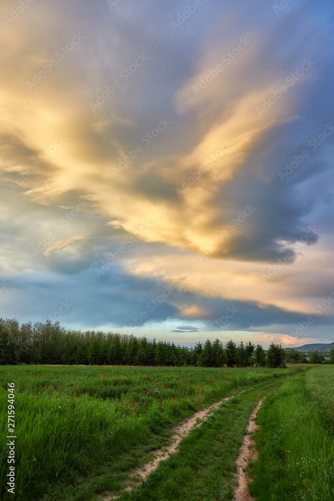 Beautiful hungarian landscape with road at springtime in evening