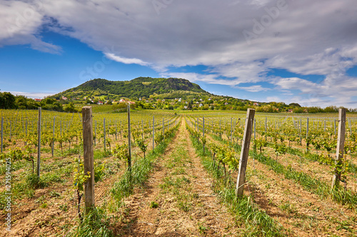 Hungarian viticulture landscape, mountain Saint George