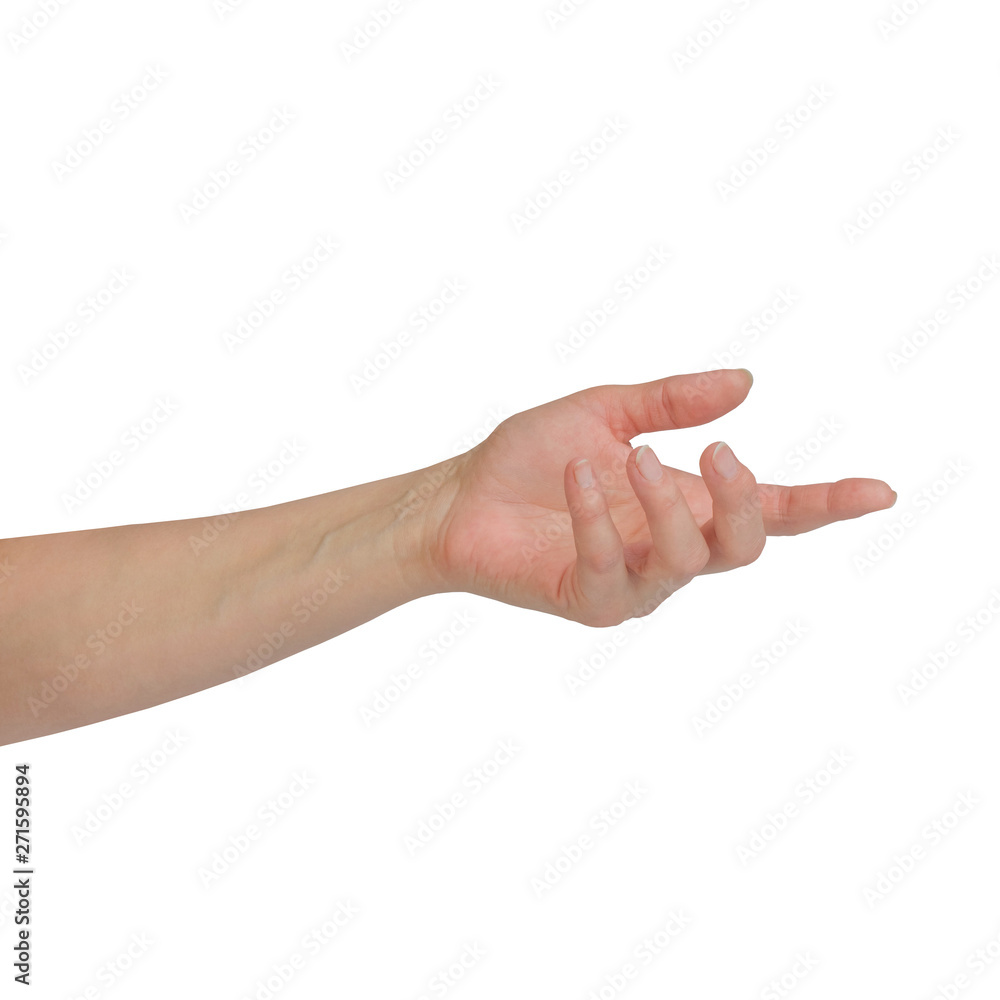 beautiful woman's hand isolated on white background beautiful woman's hand isolated on white background