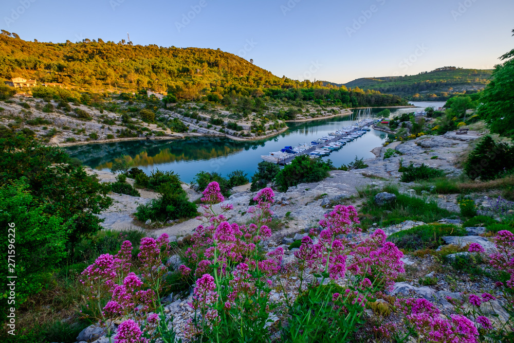 Vue panoramique sur le lac d'Esparron, fleurs de valériane rouge au premier plan. Coucher de soleil. Provence, France, Gorges du Verdon.