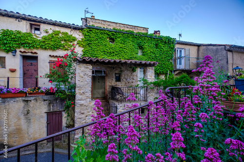 Rue de village Esparron de Verdon au printemps, fleurs de rose et valériane rouge. Provence, France.