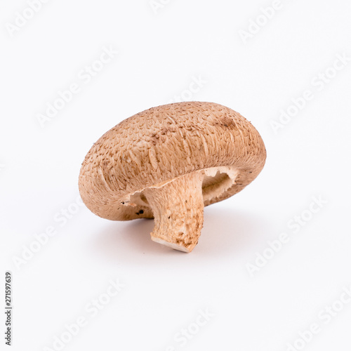 brown mushroom on white background