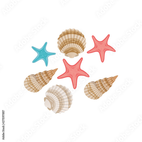cute seashells on the sea in white background