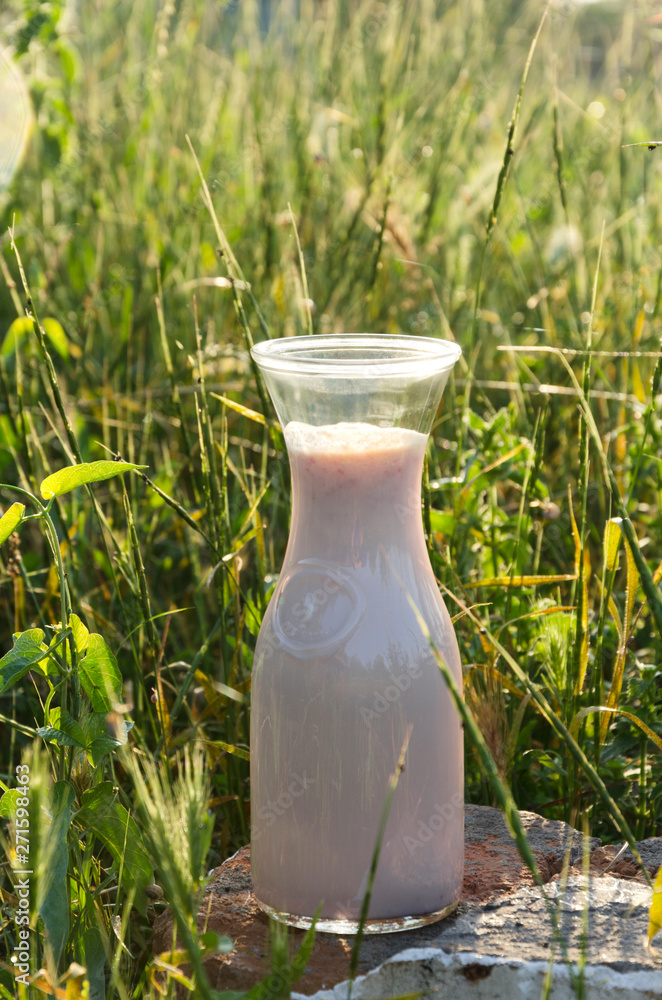 Bottle of fresh milk product in the meadow, morning natural lights.Tasty milk as a great snack in the countryside Bottle of fresh milk product in the meadow, morning natural lights.Tasty milk as a great snack in the countryside