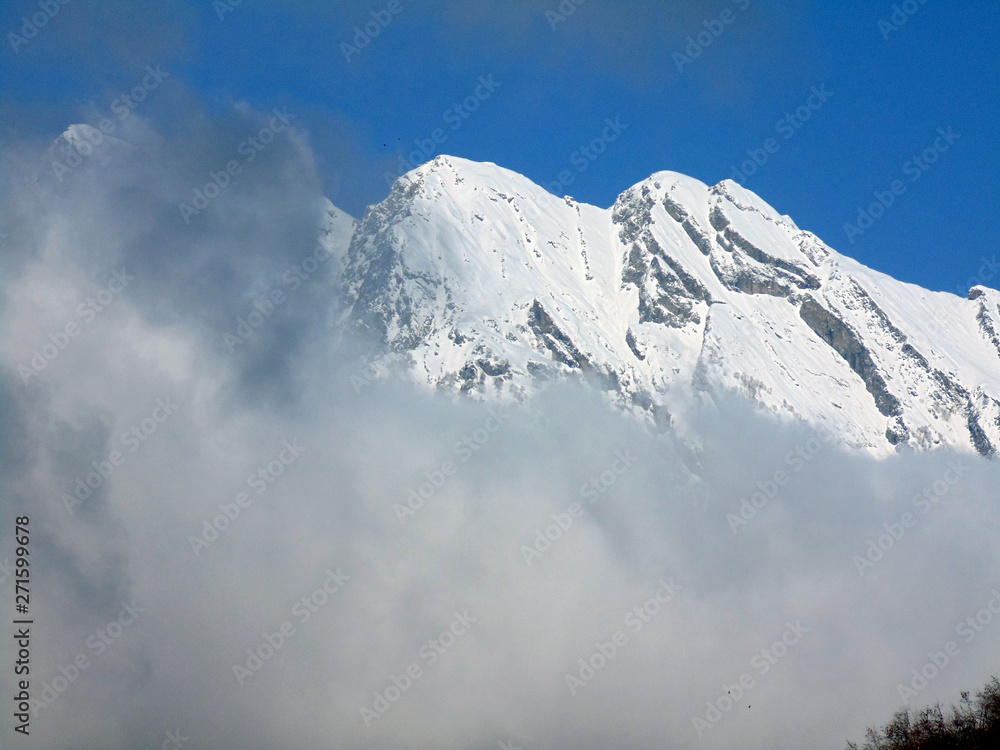 WHITE CLOUDS WHITE CLOUDS