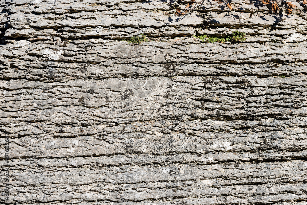 Background of layered rock (limestone) separated by layers of clay. Lessinia stone or Prun stone. Plateau of Lessinia, Verona, Veneto, Italy Background of layered rock (limestone) separated by layers of clay. Lessinia stone or Prun stone. Plateau of Lessinia, Verona, Veneto, Italy